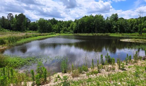 Pond 1