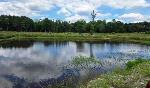 Pond 2