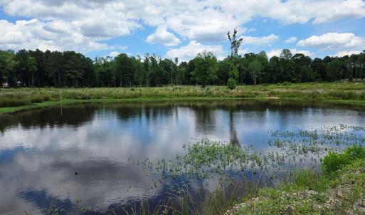 Pond 2a