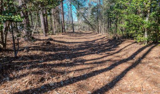 Copy of Ground - 6724 Wimberly-6