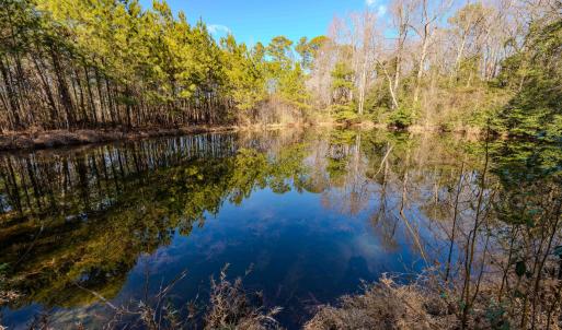 Copy of Ground - 6724 Wimberly-16