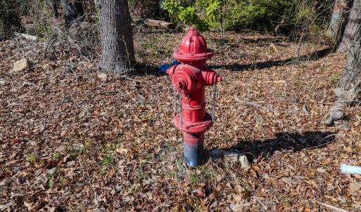 Copy of Ground - 6724 Wimberly-4