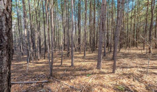 Copy of Ground - 6724 Wimberly-15