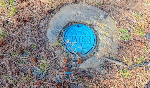 Copy of Ground - 6724 Wimberly-3