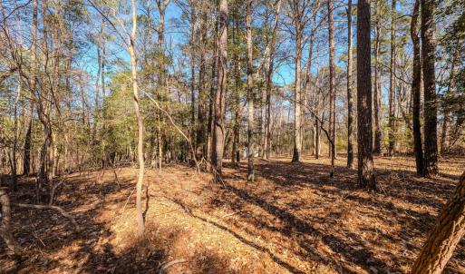 Copy of Ground - 6724 Wimberly-7