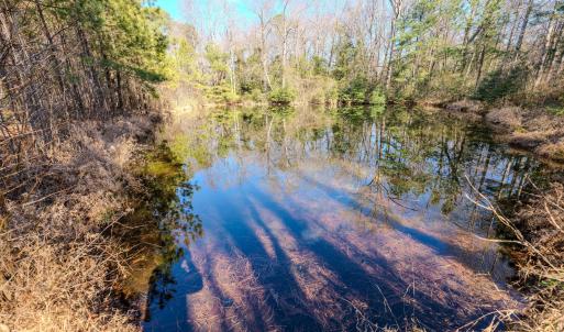 Copy of Ground - 6724 Wimberly-12