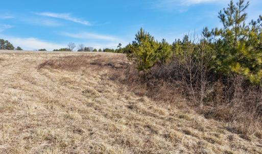 7-web-or-mls-06-IMG_1699