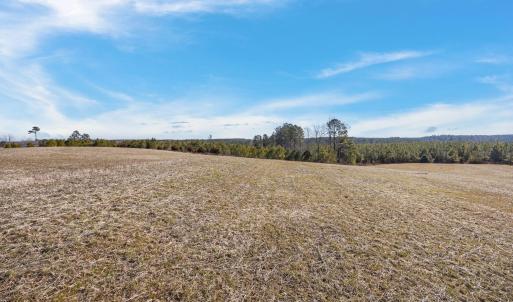 8-web-or-mls-07-IMG_1711