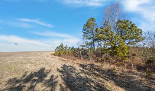 9-web-or-mls-08-IMG_1708