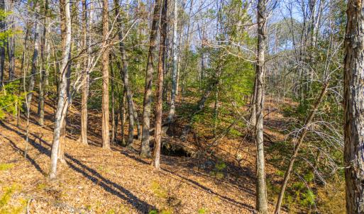 Pickett Lane Lot 21-7