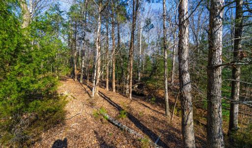 Pickett Lane Lot 21-11