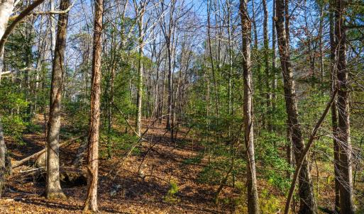 Pickett Lane Lot 21-14