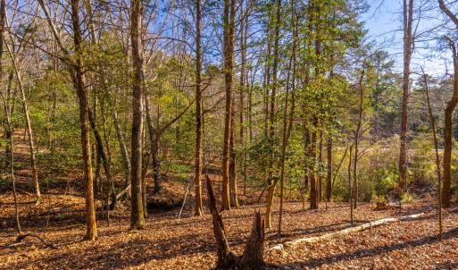 Pickett Lane Lot 21-15