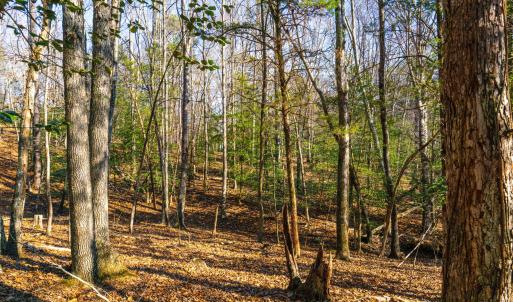 Pickett Lane Lot 21-16