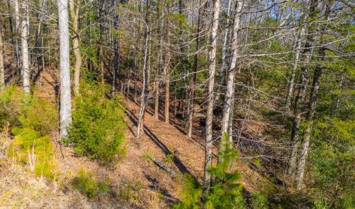 Pickett Lane Lot 21-5