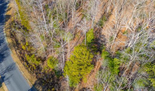 Pickett Lane Lot 21-8