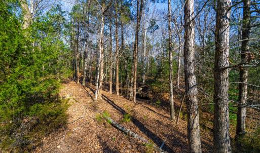 Pickett Lane Lot 21-12