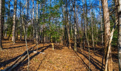 Pickett Lane Lot 21-13