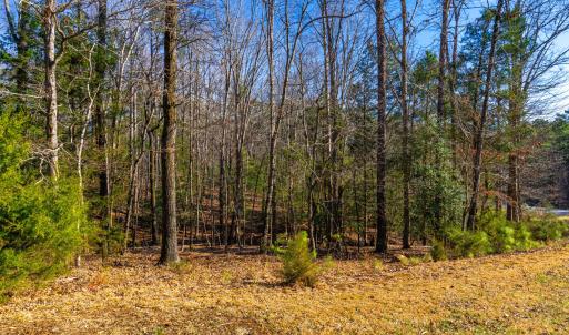 Pickett Lane Lot 21-17