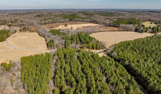 02-002-Chatham-Parcel-72586-MarkWilletRd