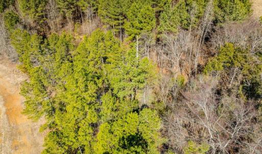 27-027-Chatham-Parcel-72586-MarkWilletRd