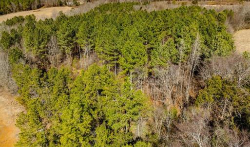 28-028-Chatham-Parcel-72586-MarkWilletRd