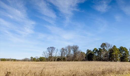 36-036-Chatham-Parcel-72586-MarkWilletRd