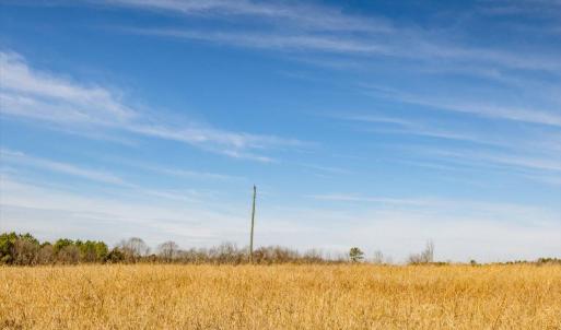 37-037-Chatham-Parcel-72586-MarkWilletRd