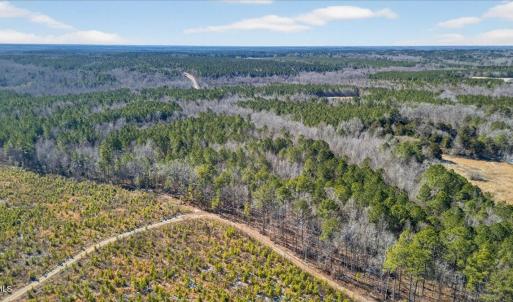 05-DJI_20260209123343_0841_D