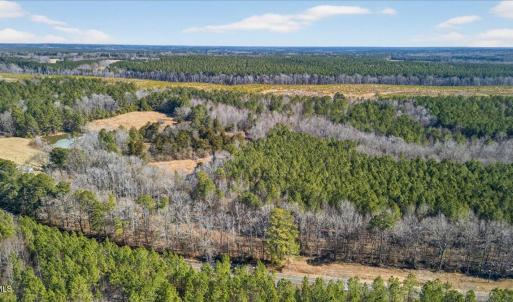 11-DJI_20260209123034_0807_D