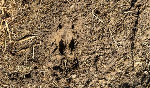 Person Co. NC 69.03-14