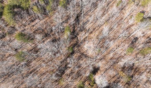 Person Co. NC 69.03-20