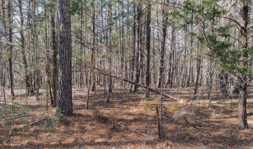 Person Co. NC 69.03-51