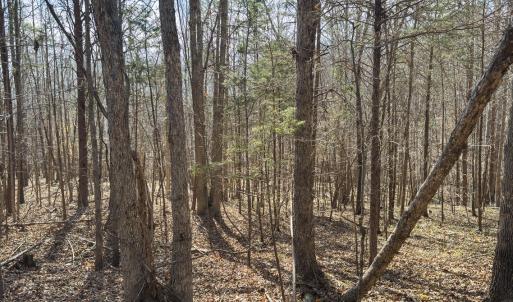 Person Co. NC 69.03-61