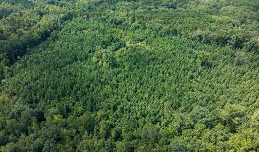 Person Co. NC 69.03-64