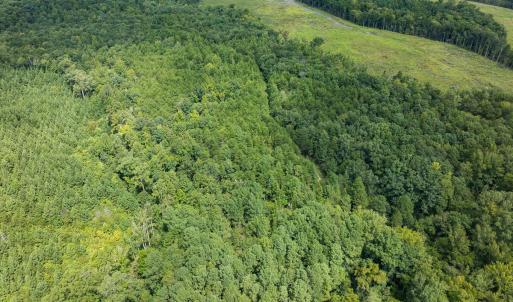 Person Co. NC 69.03-60