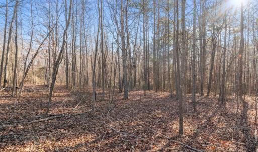 15-web-or-mls-DSC03470