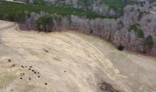 20241209183125596677000000-o