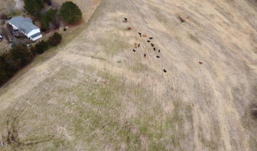 20241209183124682196000000-o