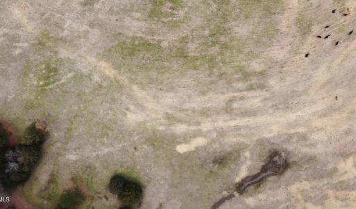 20241209183121359159000000-o