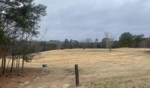 20241209183131323565000000-o