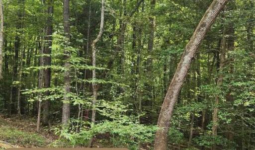 111 White Horse Drive, Vacant Lot