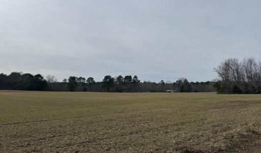 2C8FFAEF-5E3A-4795-8E02-C78F0A8FE04C_1_1