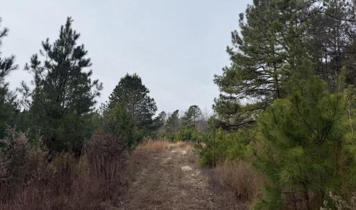 DE8D63EA-FCEE-41D3-B12D-38D169F81DDB_1_1