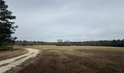 E8E74929-8A5B-4D1C-8ED6-74AE74F73AAD_1_1