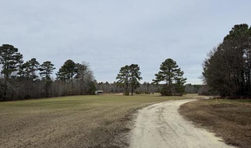 A87A0A77-AEE2-42C4-A04C-A377E87115EE_1_1