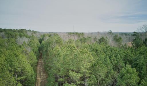 16-NW Corner POV Tree Level Alt1