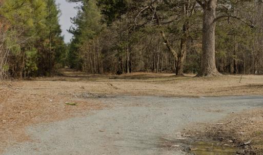 20-Road East Facing - site is down the t