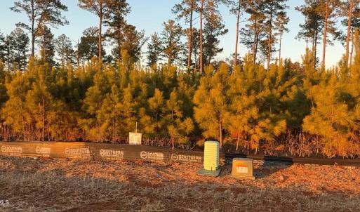 Lot 28 lot picture