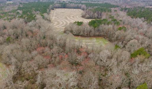 43-536 White Oak Rd pt.2 _ (28)